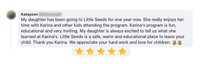 Screenshot of parent review for Little Seeds Home Daycare